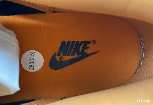 Dunk (2020) Low Nike Ceramic DA1469-001 0522